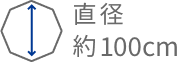 直径約100cm